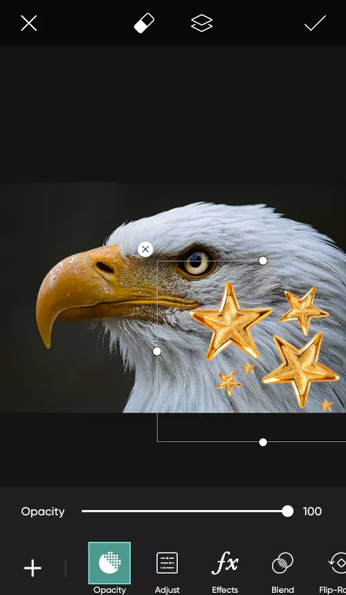 اضافة ملصقات الى الصور