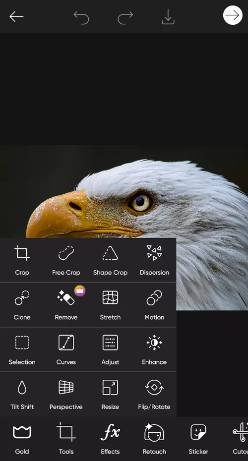 أدوات تعديل الصور